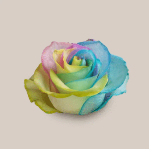 Mondial Pastel Rainbow